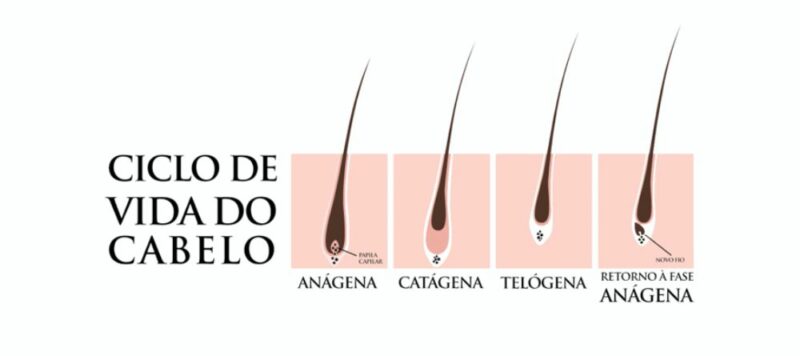 ciclo de crescimento do cabelo